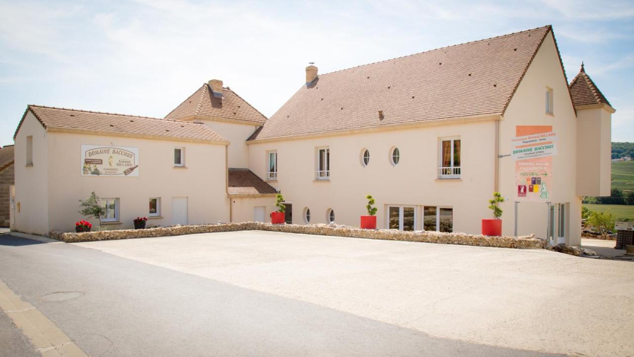 Domaine Bacchus Bed & Breakfast Reuil-sur-Marne Exterior photo