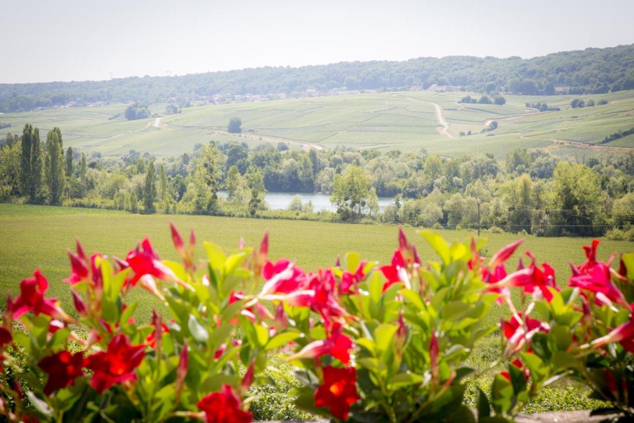 Domaine Bacchus Bed & Breakfast Reuil-sur-Marne Exterior photo